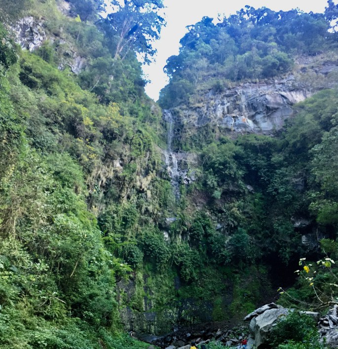 3384E984-552E-4D33-AF93-F324AB90267A